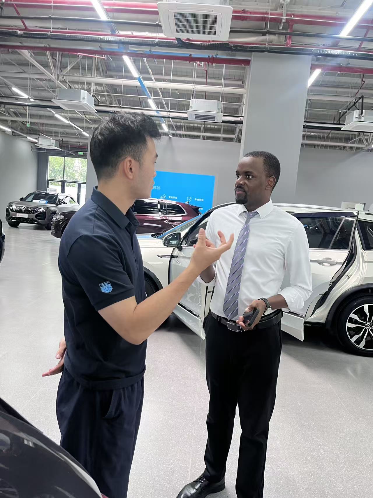 Detailed vehicle consultation